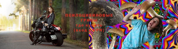 спиды Елабуга